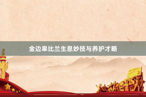 金边皋比兰生息妙技与养护才略