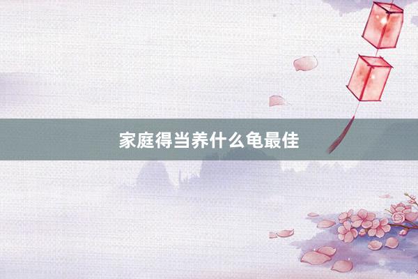 家庭得当养什么龟最佳