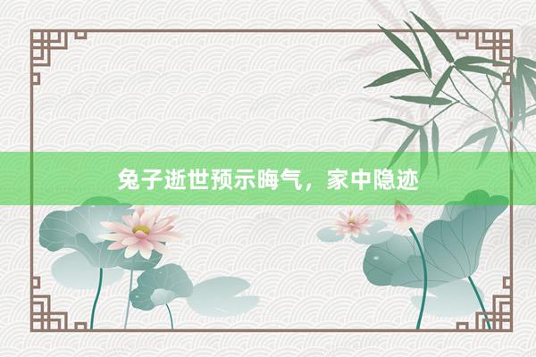 兔子逝世预示晦气，家中隐迹