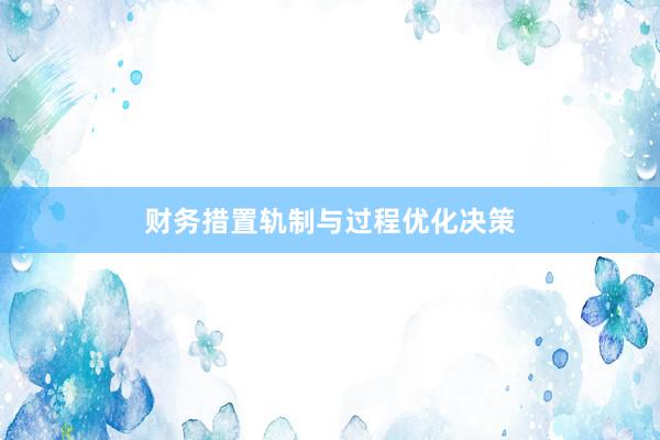 财务措置轨制与过程优化决策