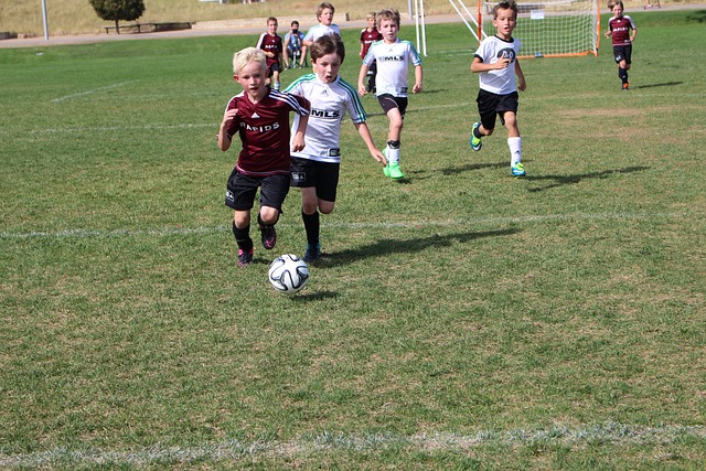 和场上执行 和场上执行